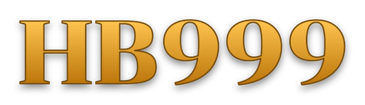 bdhb999.net Logo